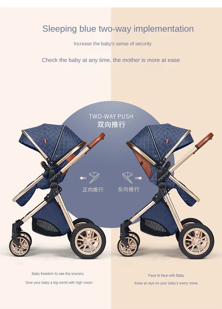 V9 Baby Stroller 2 in 1