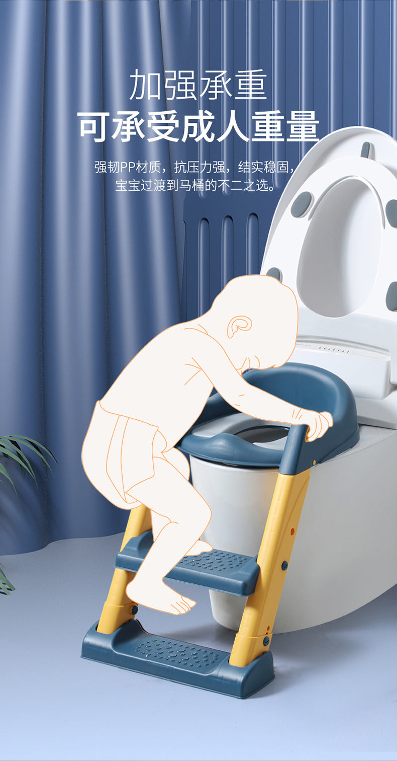 Toilet ladder steps