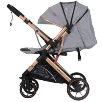 Belecoo B1 2 in 1 Stroller