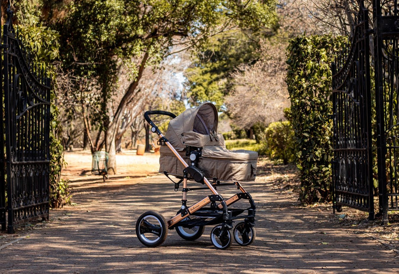 Belecoo Ariana 2 in 1 stroller