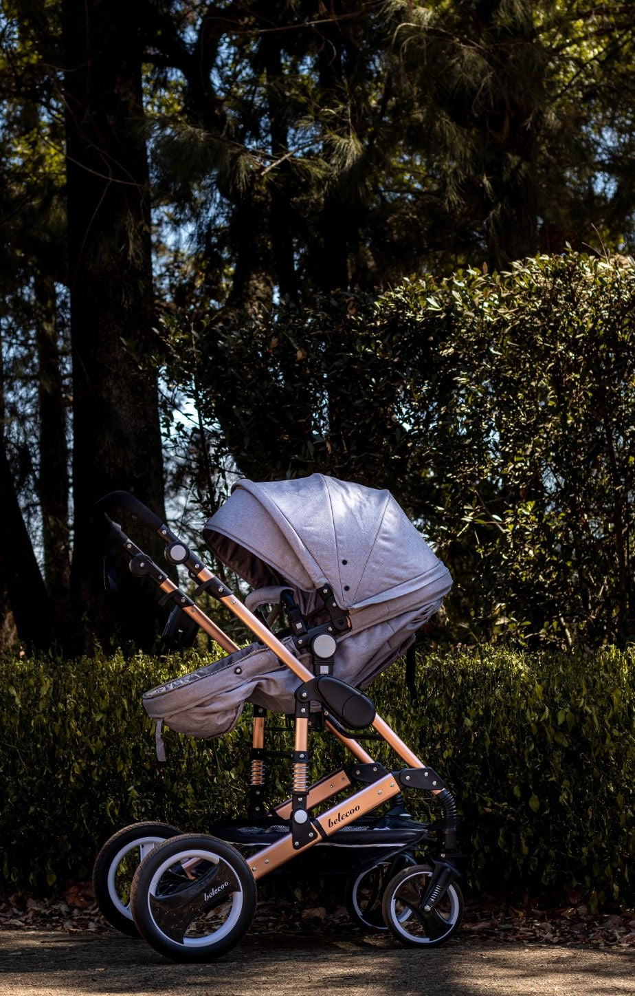 Belecoo Ariana 2 in 1 stroller