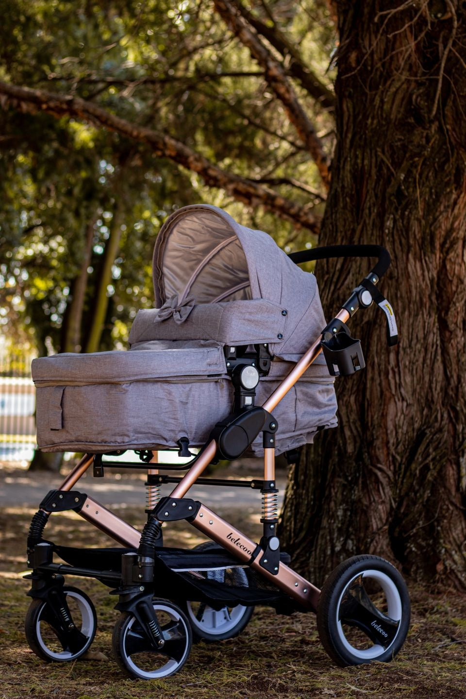 Belecoo Ariana 2 in 1 stroller