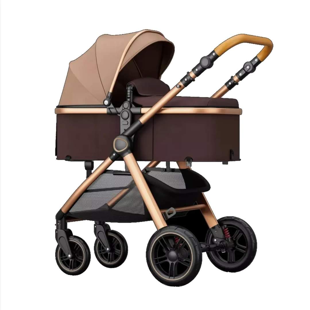 Belecoo Dynamic xd1 2 in 1 stroller