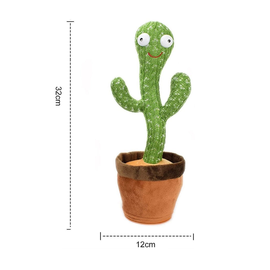 Dancing Cactus