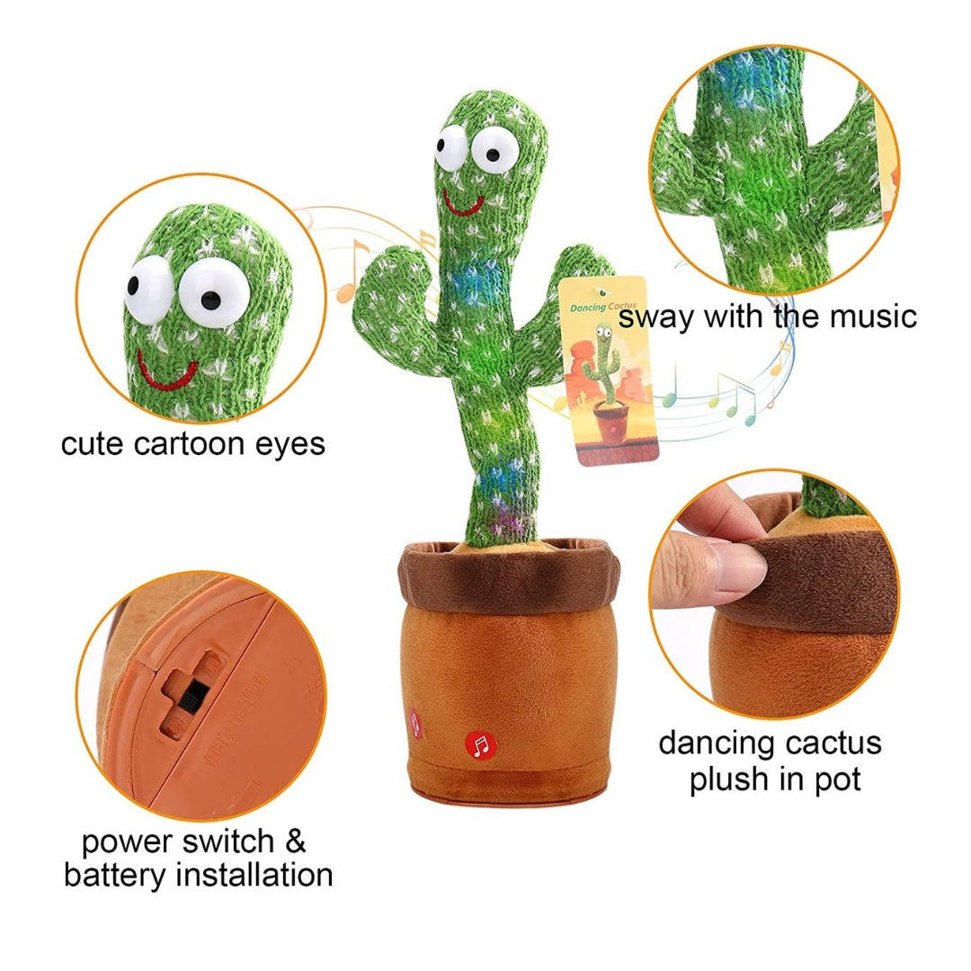 Dancing Cactus
