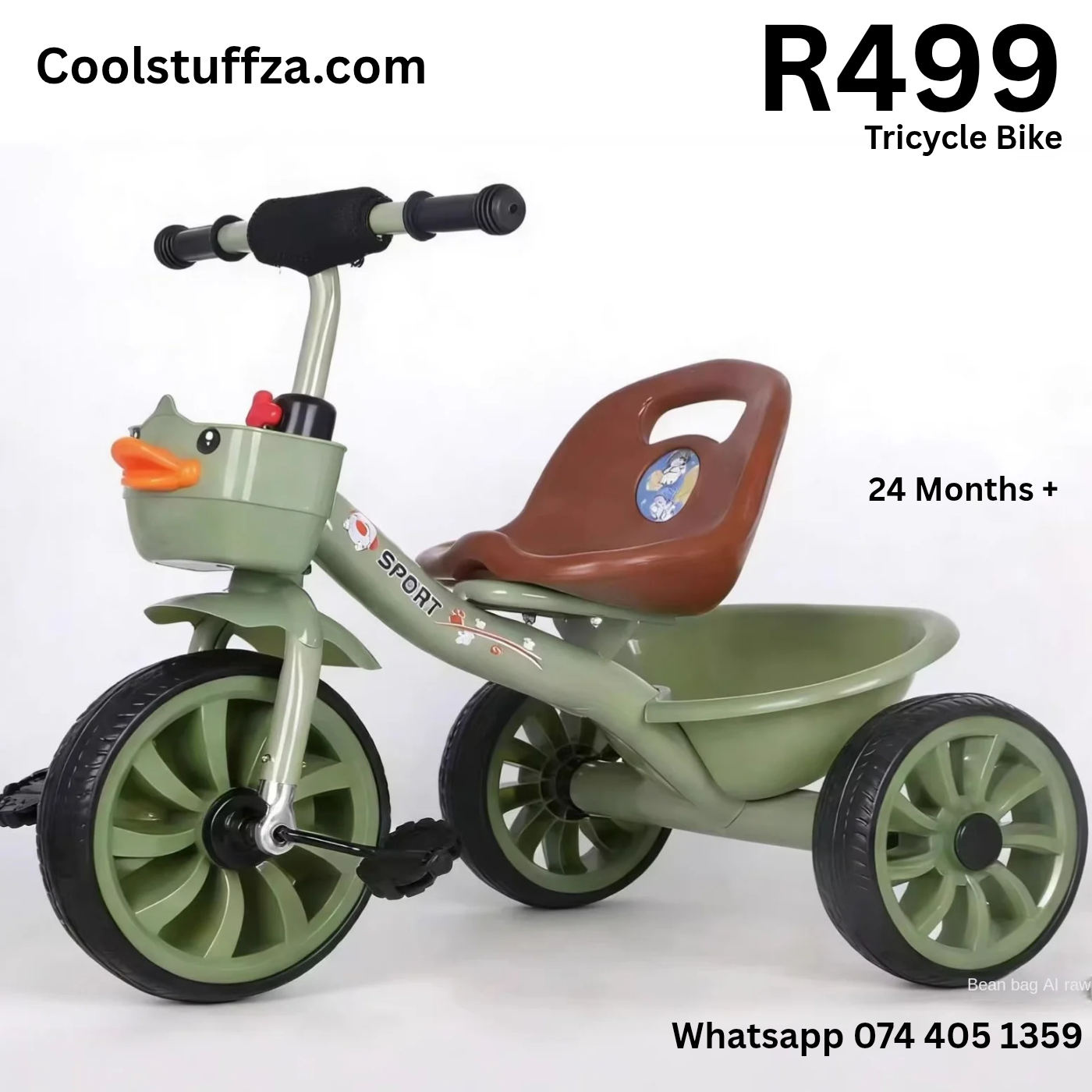 Tricycle Bike