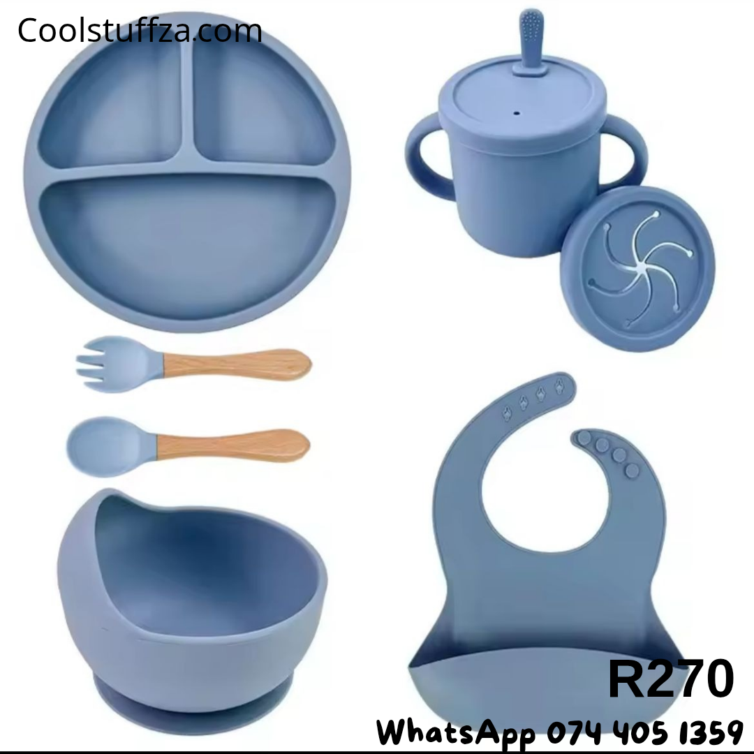 6 Pieces Silicone Feeding Set