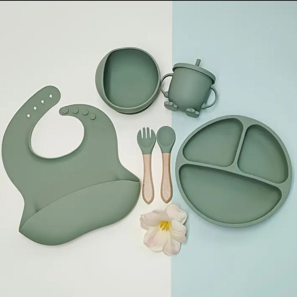 6 Pieces Silicone Feeding Set