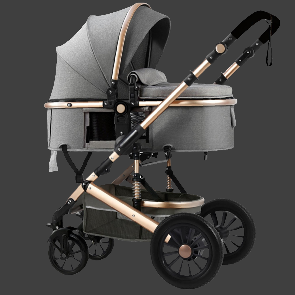 V6 Baby Stroller 2 in 1 grey