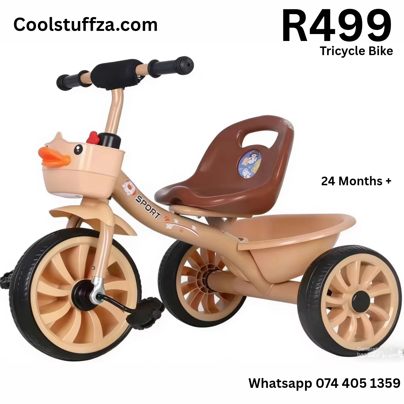 Tricycle Bike